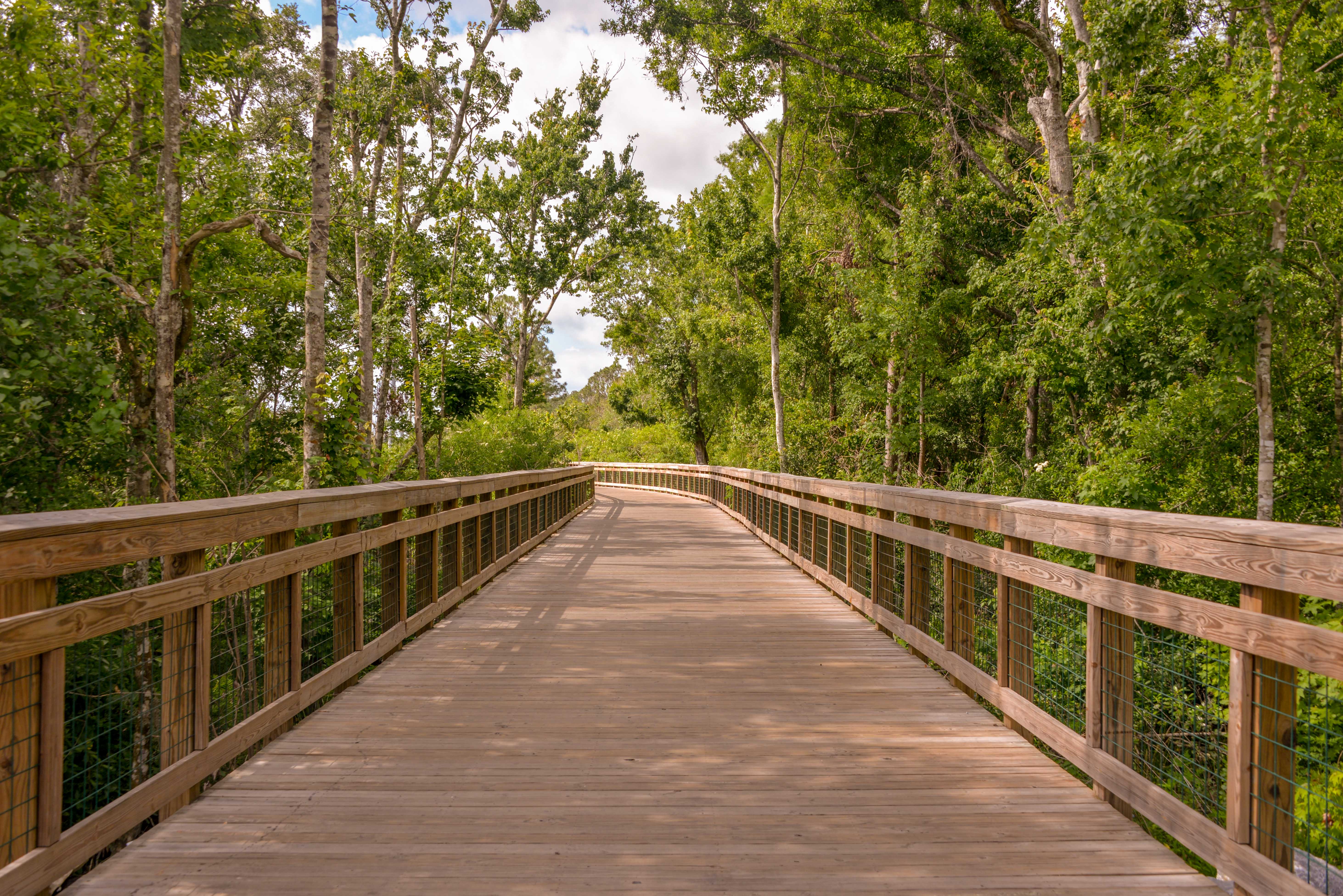 This is a photo of the Shingle Creek Regional Trail.